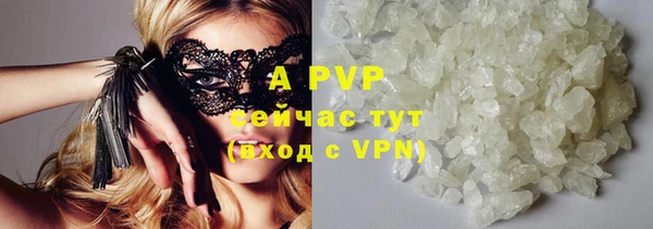 дмт Абаза