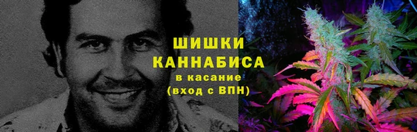 СК Абинск