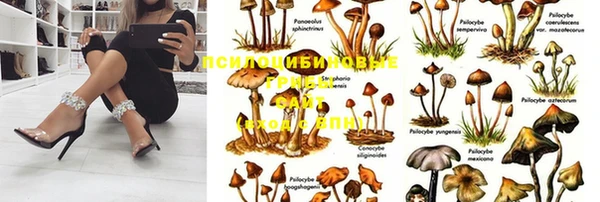 дмт Абаза
