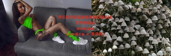 СК Абинск
