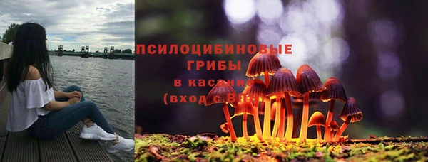 дмт Абаза