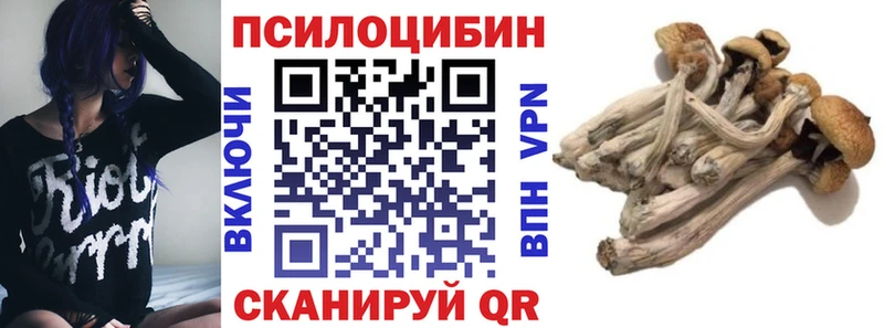 где найти   Норильск  Галлюциногенные грибы Magic Shrooms 
